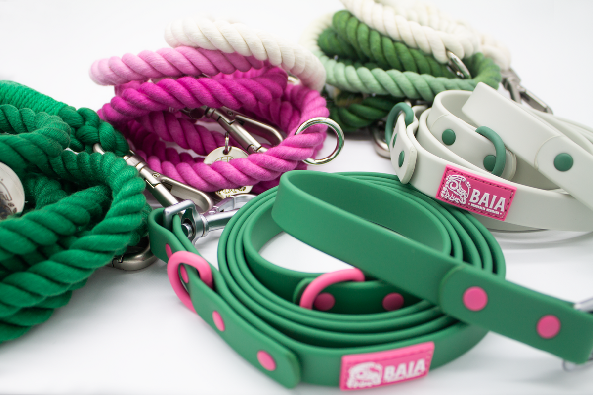Correas y collares