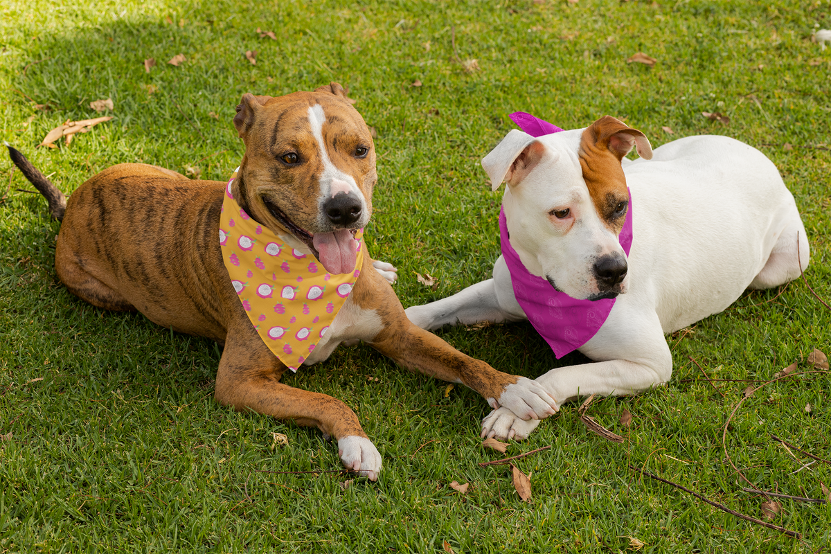 Bandanas