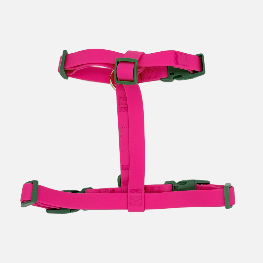 Arnés impermeable Bugambilia