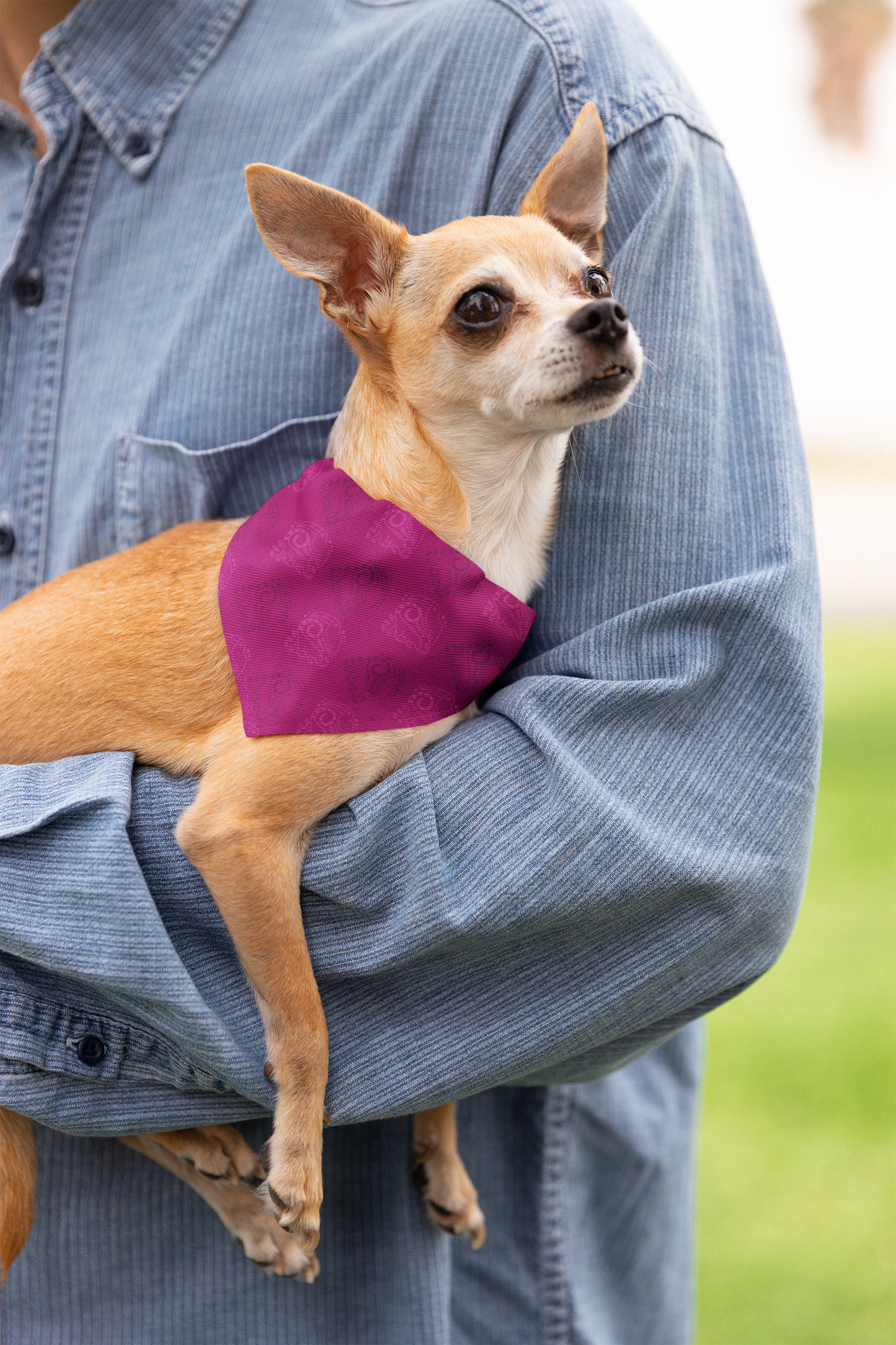 Bandana Dulce Pitahaya