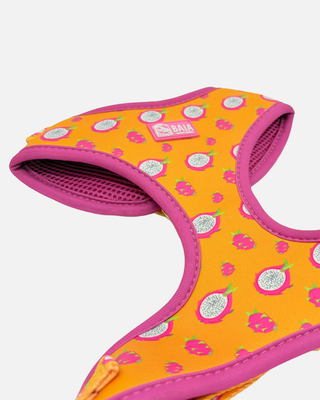 Pechera con correa Pitahaya