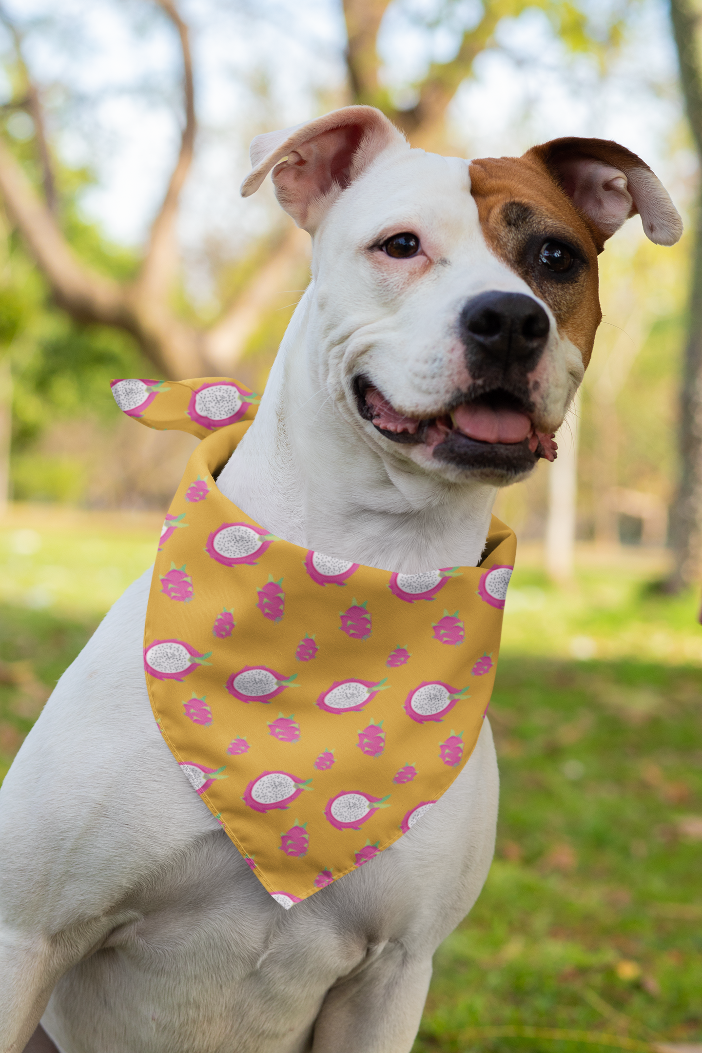 Bandana Dulce Pitahaya